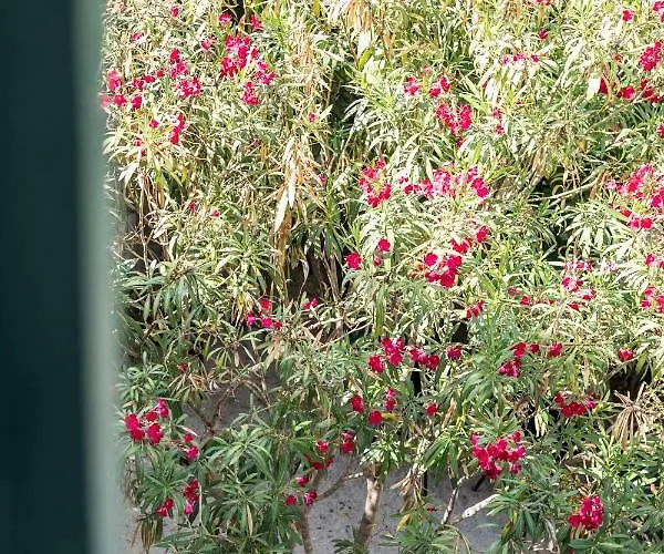 Seabed Rooms1 سبليت