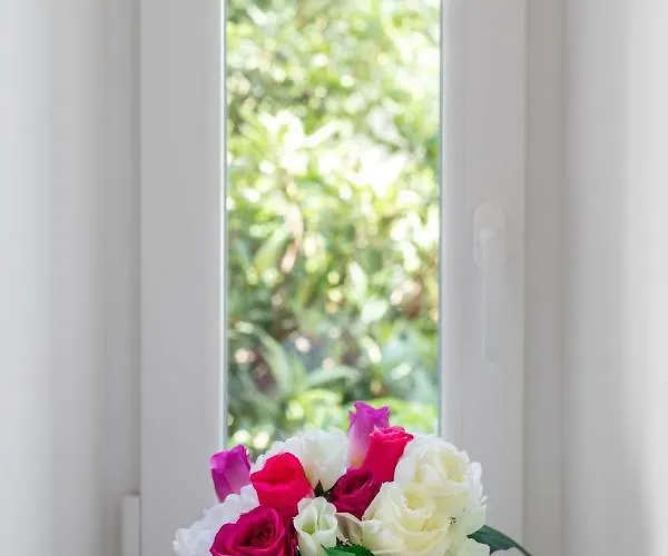 Seabed Rooms1 Affittacamere